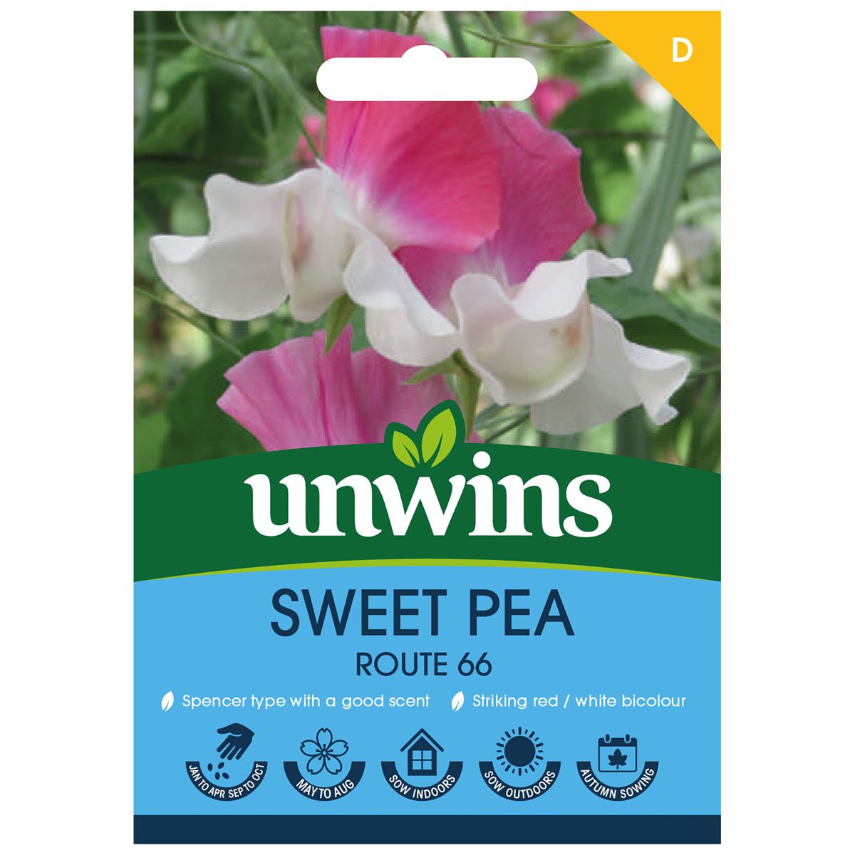 5051618038607 1 Sweet Pea Route 66 Seeds.jpg